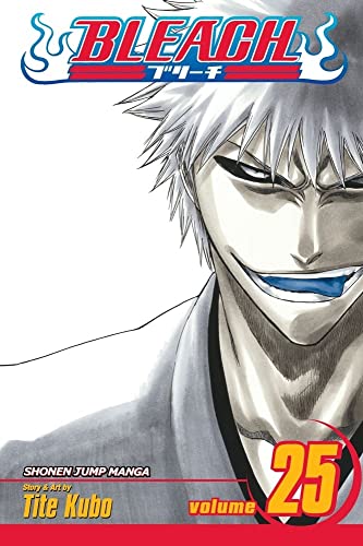 Bleach Vol 25 (Online Order Only)