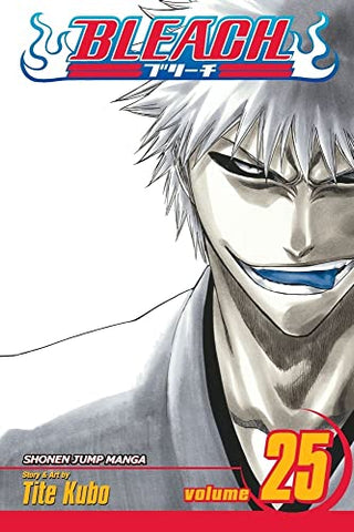 Bleach Vol 25 (Online Order Only)