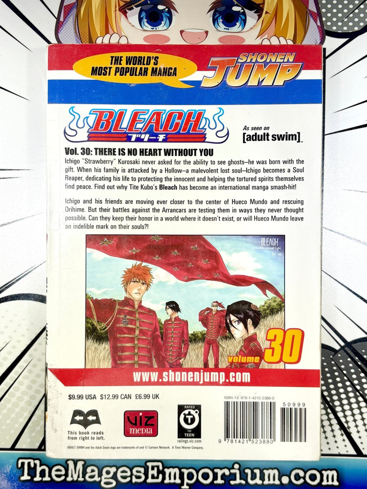 Bleach Vol 30 Ex Library (Online Order Only)