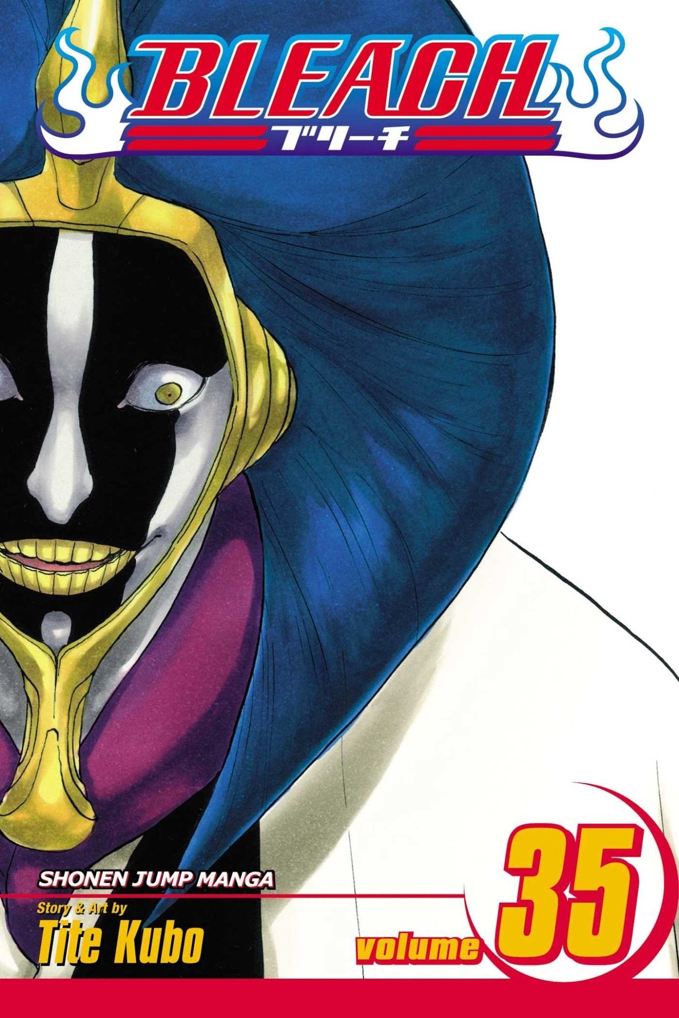 Bleach Vol 35 (Online Order Only)
