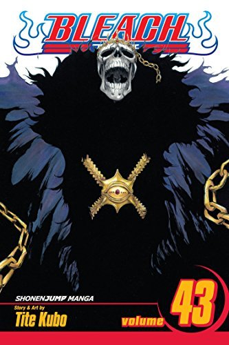 Bleach Vol 43 (Online Order Only)