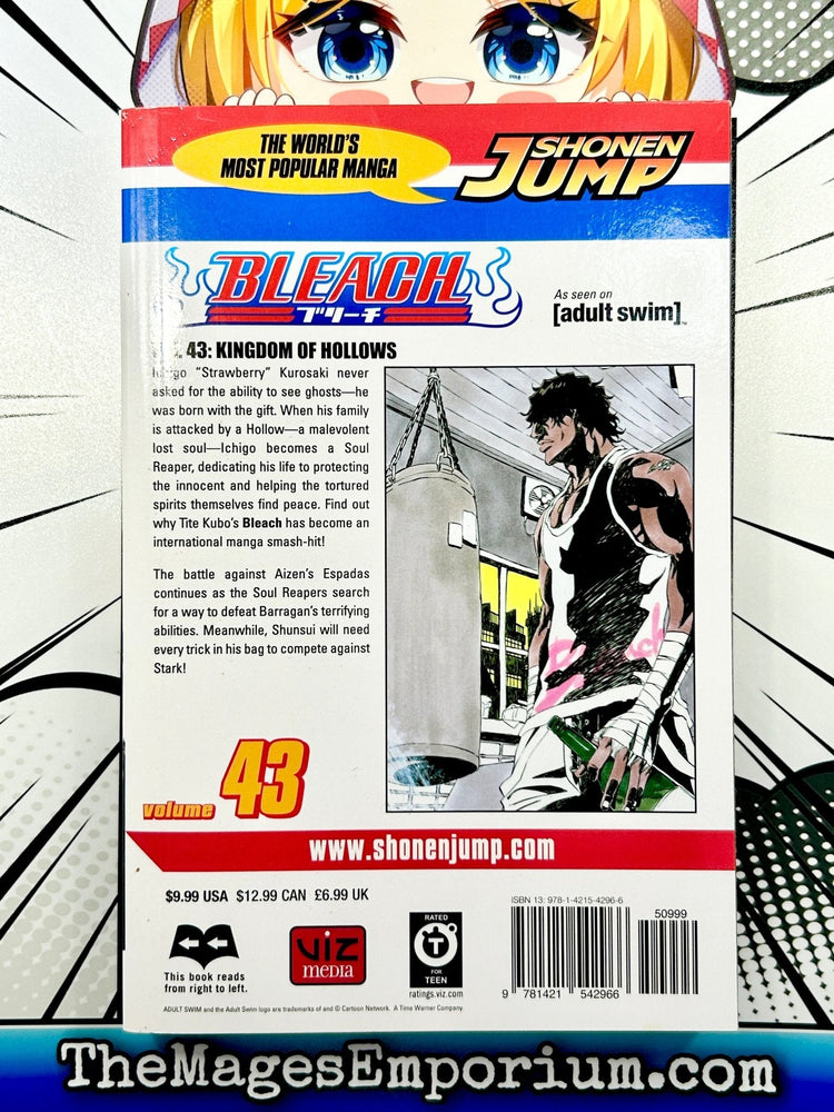 Bleach Vol 43 (Online Order Only)