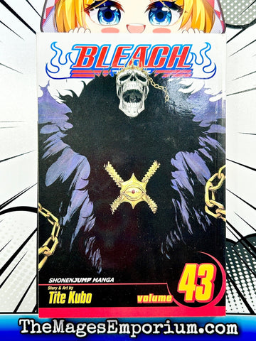 Bleach Vol 43 (Online Order Only)