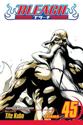 Bleach Vol 45 (Online Order Only)