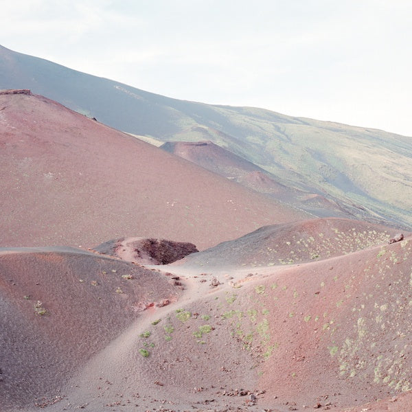 BLOMFELT & NARBY - Peter, Barbara, Beth & Friends [Vinyl] (ONLINE ORDER ONLY)