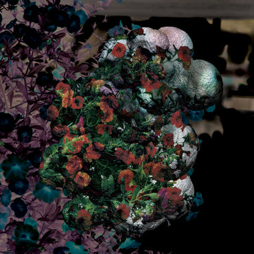 Blondes - Warmth (RED VINYL) [Vinyl] (ONLINE ORDER ONLY)