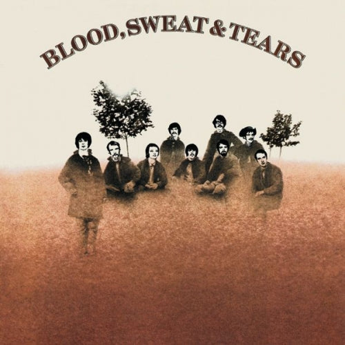 Blood Sweat & Tears [Vinyl]