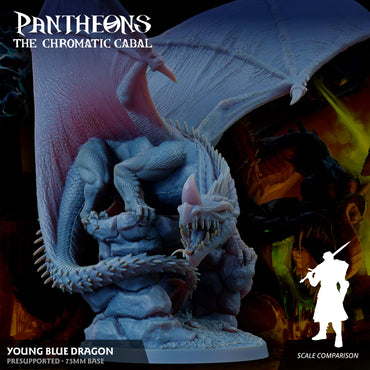 3D Printed Sordane Publishing Young Blue Dragon Pantheons The Chromatic Cabal 28 32mm D&D (Online Only)