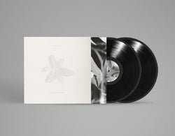 Body of Light / I Am A Cloud [Vinyl] (ONLINE ORDER ONLY)