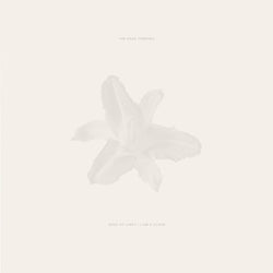 Body of Light / I Am A Cloud [Vinyl] (ONLINE ORDER ONLY)
