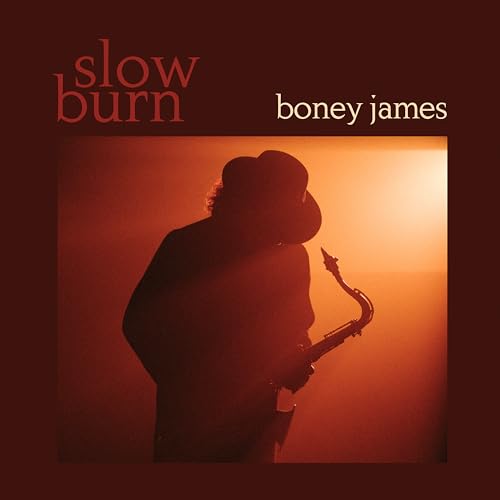 Slow Burn [LP] [Vinyl]