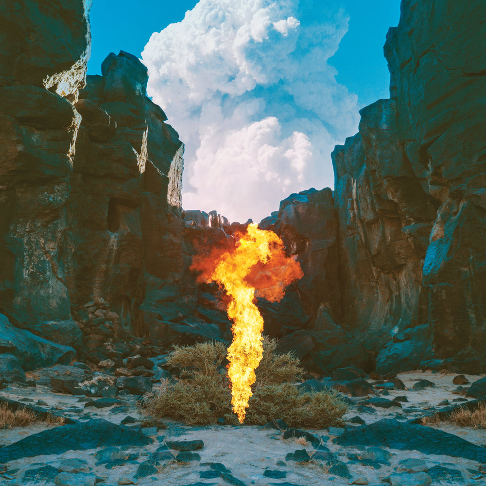 Bonobo - Migration [CD] (ONLINE ORDER ONLY)