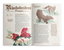 The Field Guide to Floral Dragons: Explorer's Box Set (5e D&D)