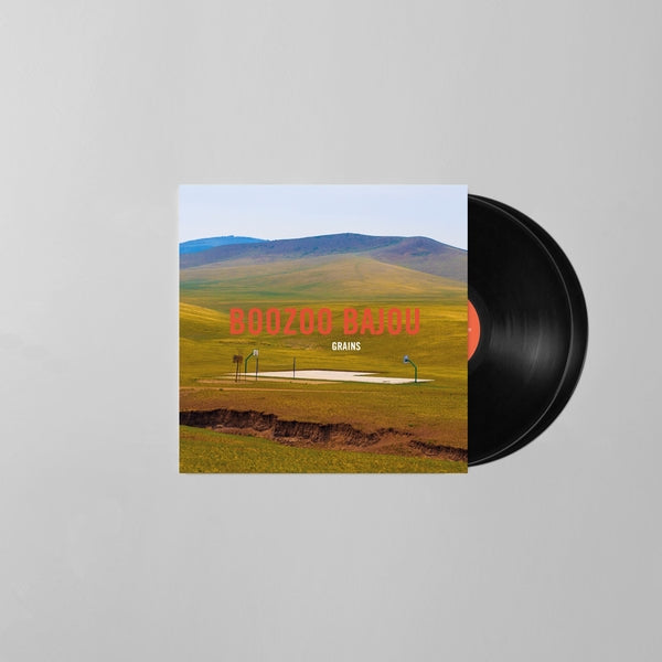 Grains (15Th Anniversary) [Vinyl]