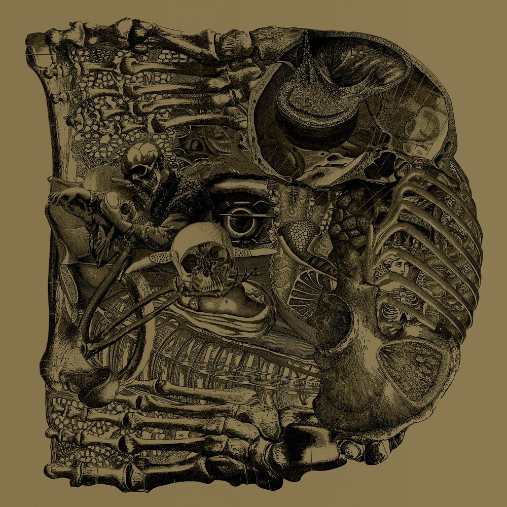 Boris - Dear [CD] (ONLINE ORDER ONLY)