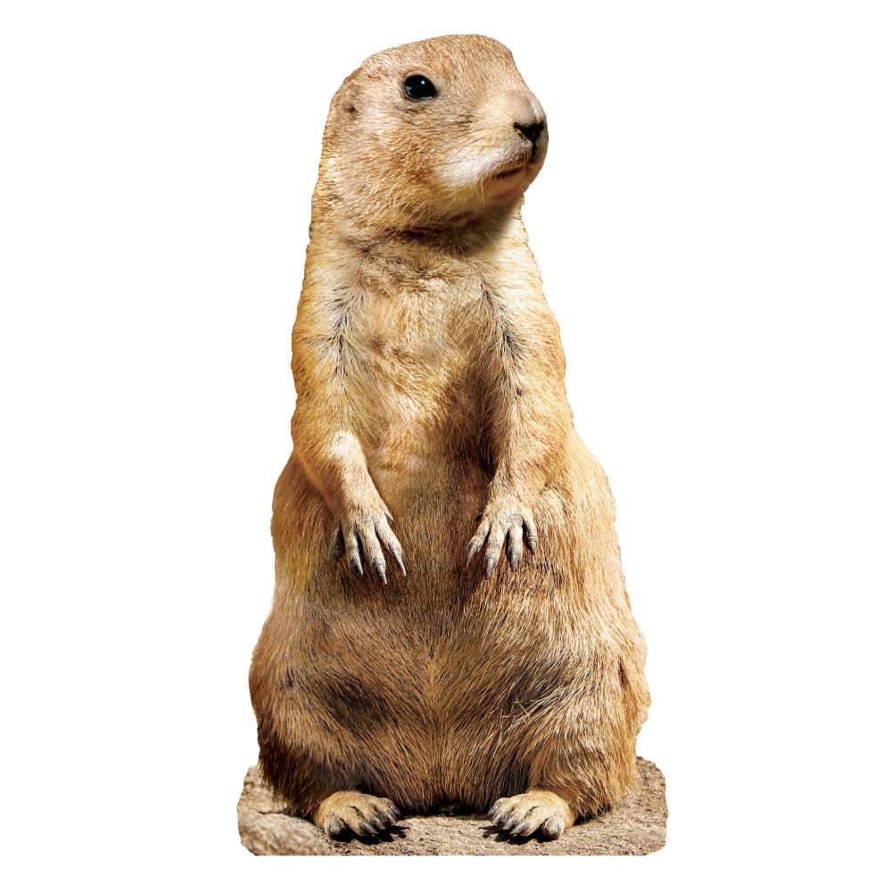 Prairie Dog 100 Piece Shaped Jigsaw Puzzle (ONLINE ORDER ONLY)