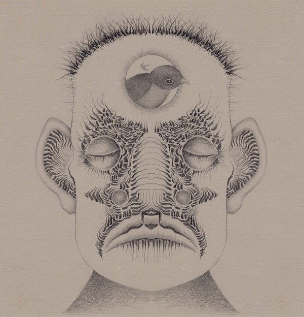 BRIAN THUMMLER - Ghost Birds [Cassette] (ONLINE ORDER ONLY)