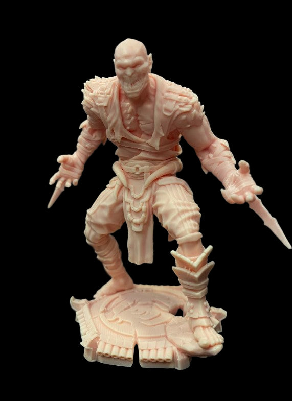 Melted Asssassin - Mortal Kombat Inspired Assassin Miniature (ONLINE ORDER ONLY)