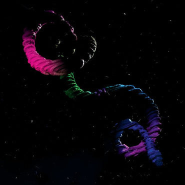 Brogan Bentley - The Snake [Vinyl] (ONLINE ORDER ONLY)