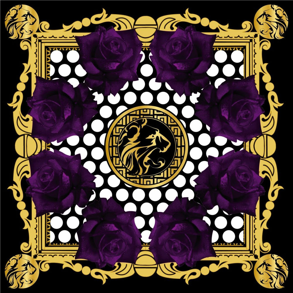 BRTSH KNIGHTS - If I Was To / Hazed - 12" [Vinyl] (ONLINE ORDER ONLY)