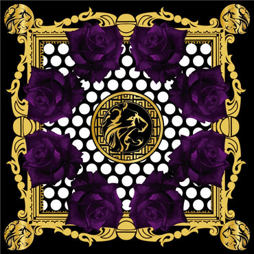 BRTSH KNIGHTS - If I Was To / Hazed - 12" [Vinyl] (ONLINE ORDER ONLY)