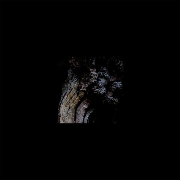 BRUNNEN - The Garden Of Perpetual Dreams [Vinyl] (ONLINE ORDER ONLY)