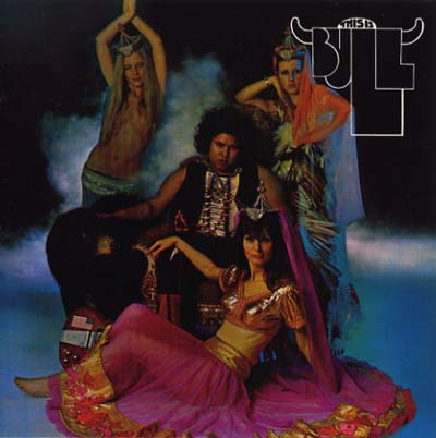 This Is Bull [CD]