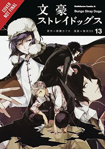 Bungo Stray Dogs Vol 13 (Online Order Only)