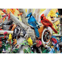 Audubon - Backyard Birds 1000 Piece Jigsaw Puzzle (ONLINE ORDER ONLY)