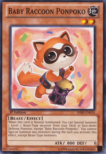 Baby Raccoon Ponpoko [SHSP-EN014] Common (ONLINE ORDER ONLY)
