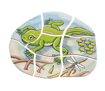 Multi-Layer Nesting Wood Puzzle: Egg to Frog 5-Layer (ONLINE ORDER ONLY)