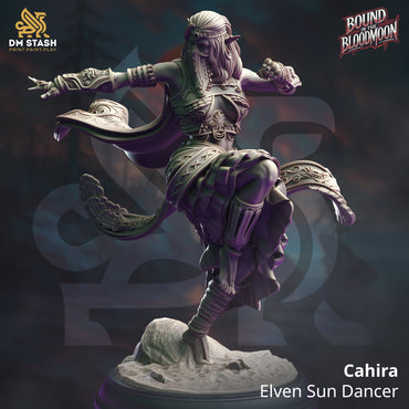Cahira, Elven Sun Dancer (Female Elf Monk) (Online Order Only)