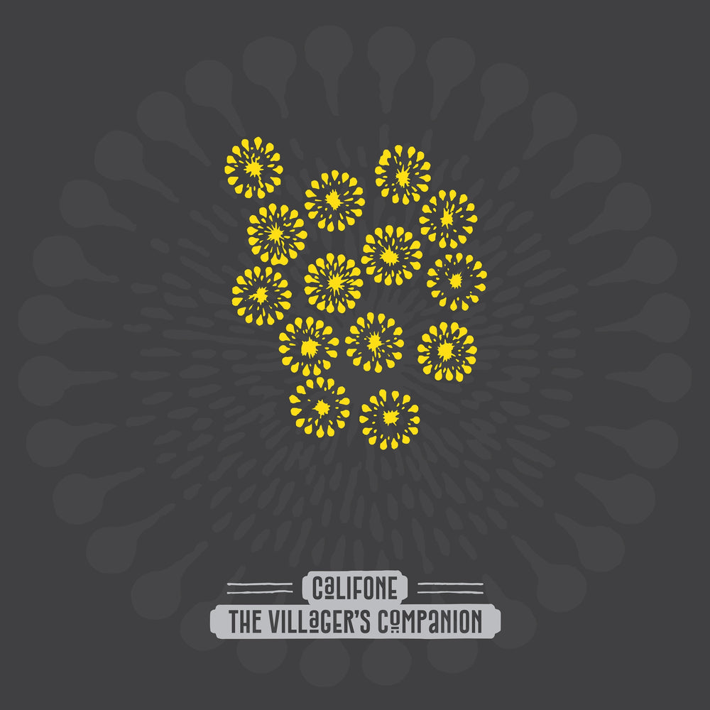 The Villager'S Companion (Indie Exclusive Firework Shimmer Vinyl) [Vinyl] (ONLINE ORDER ONLY)