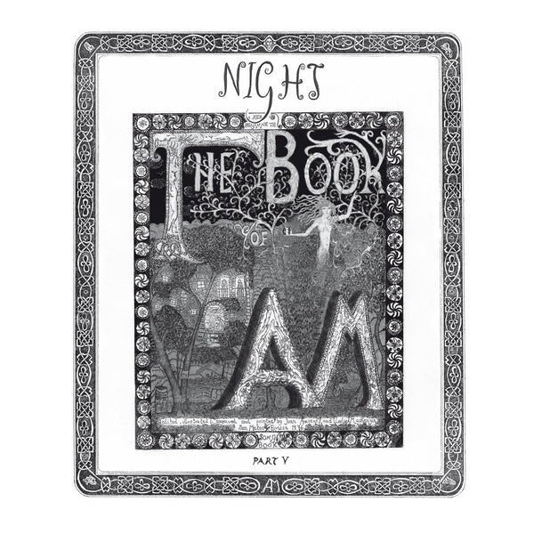 The Book of AM Part V: Night [Vinyl] (ONLINE ORDER ONLY)