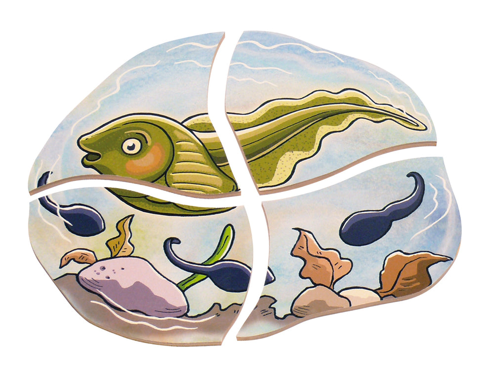 Multi-Layer Nesting Wood Puzzle: Egg to Frog 5-Layer (ONLINE ORDER ONLY)
