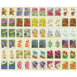 Farmer's Almanac - Backyard Garden Flowers Memory Game