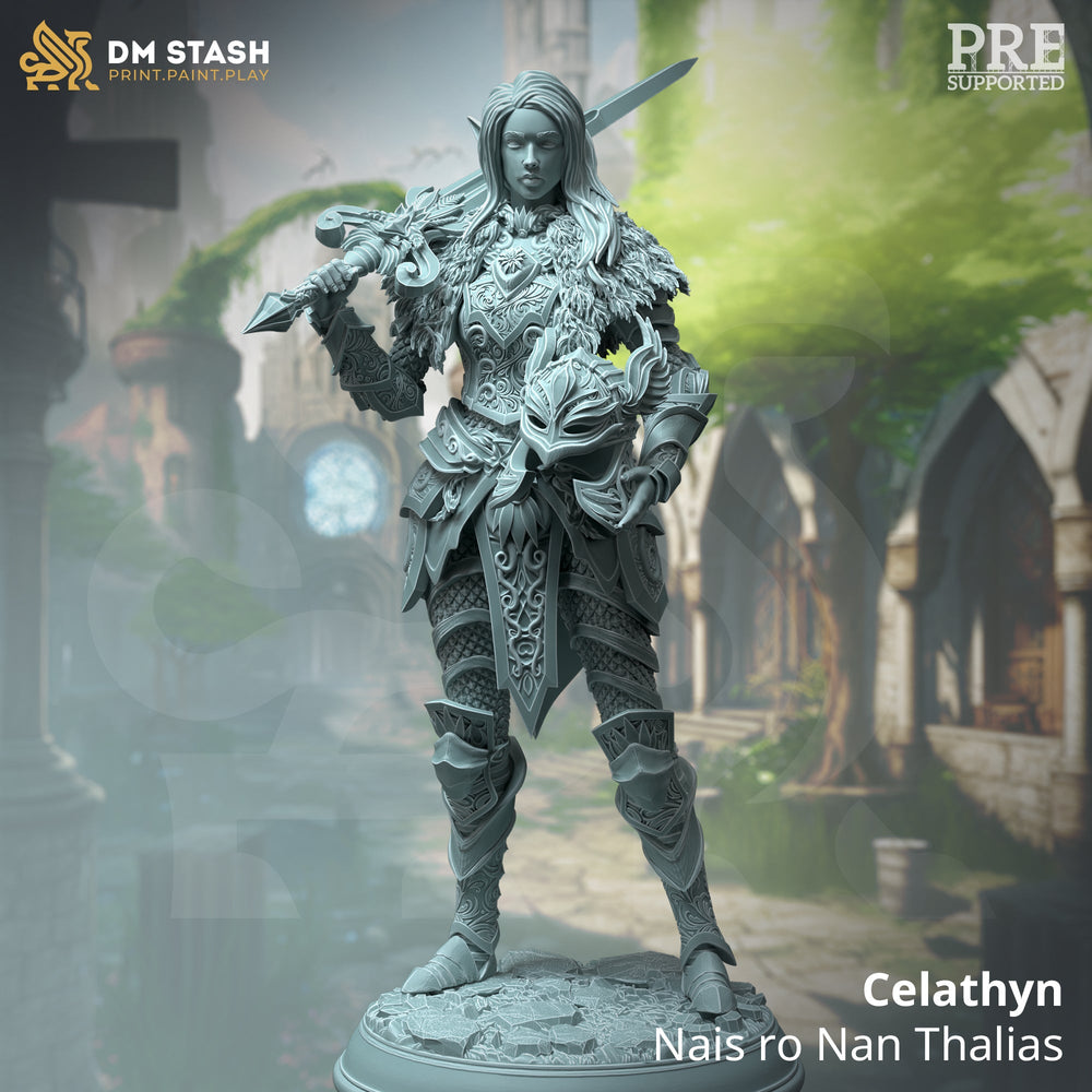 Celathyn, Nais ro Nan Thalias (Female Elf Paladin) (Online Only)