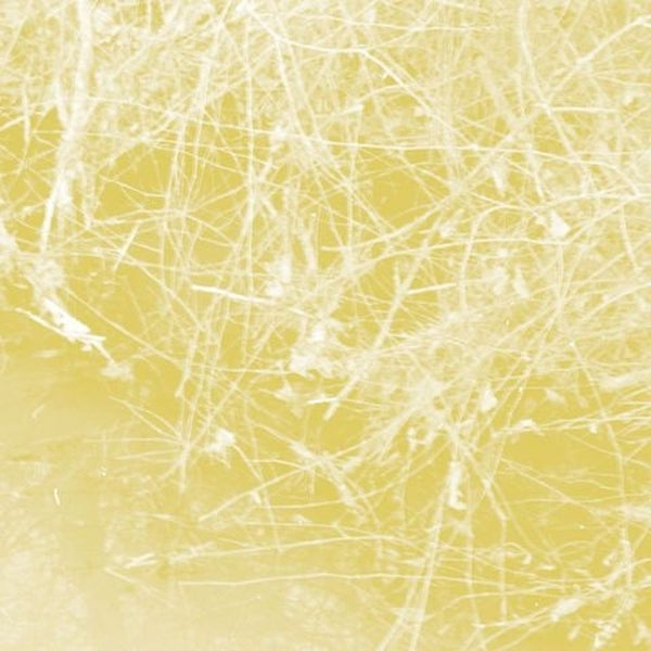 Cursory Asperses [CD]