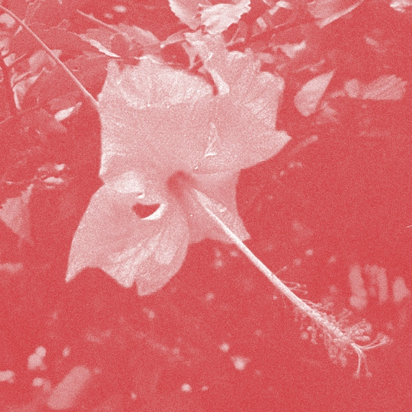 CELER - Poulaine [CD] [CD]