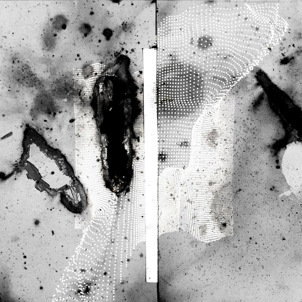 Vipassana [Vinyl] (ONLINE ORDER ONLY)