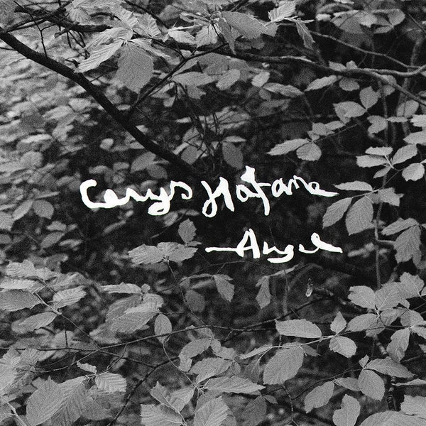 Angel [Lp] [Vinyl] (ONLINE ORDER ONLY)