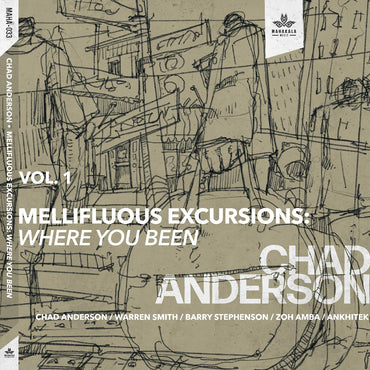 Chad Anderson - Mellifluous Excursions Vol. 1 - Where You Been [CD] (ONLINE ORDER ONLY)