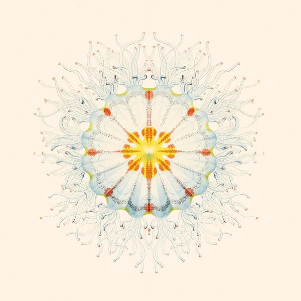 CHARLIE CHARLIE - Litte Things [Vinyl] (ONLINE ORDER ONLY)