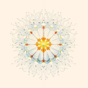 CHARLIE CHARLIE - Litte Things [Vinyl] (ONLINE ORDER ONLY)