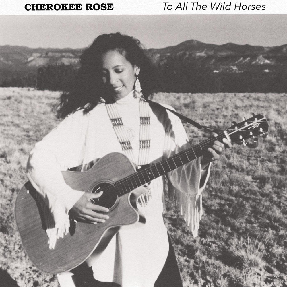 To All The Wild Horses [CD]
