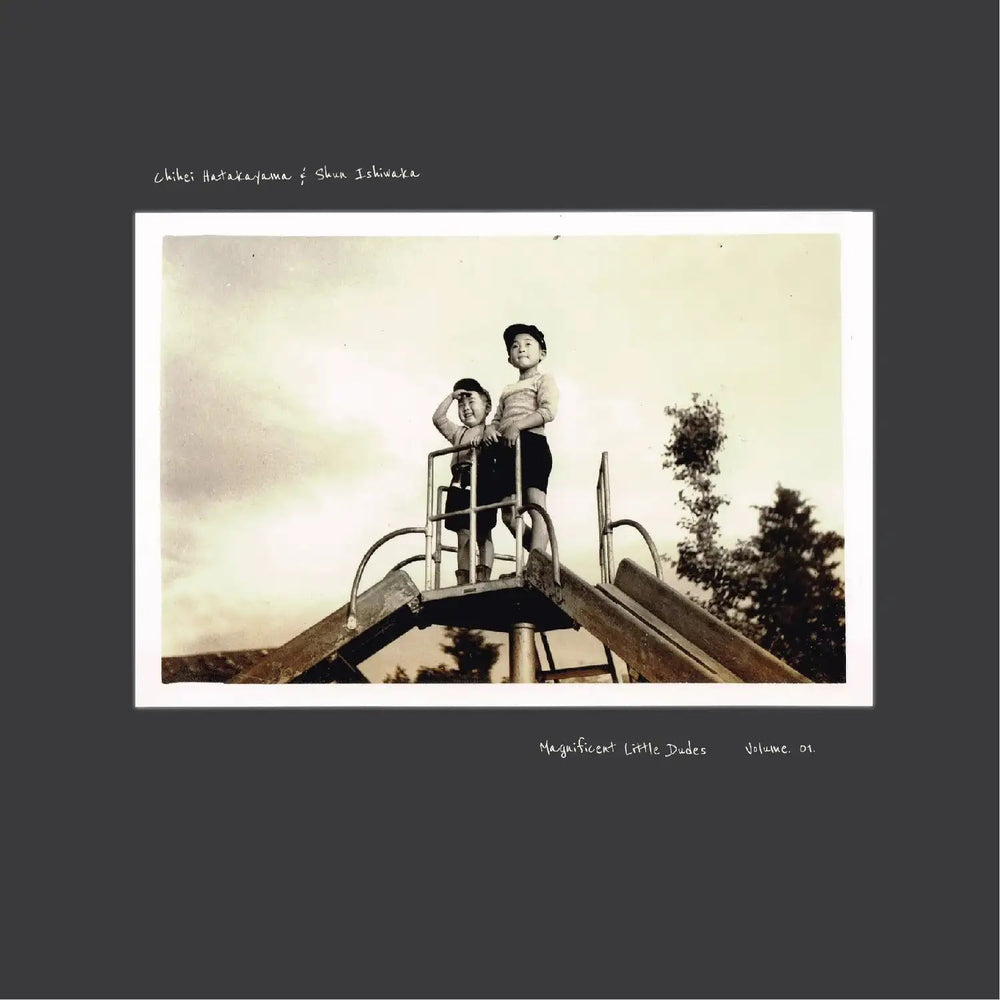 Magnificent Little Dudes Vol.1 [Vinyl]