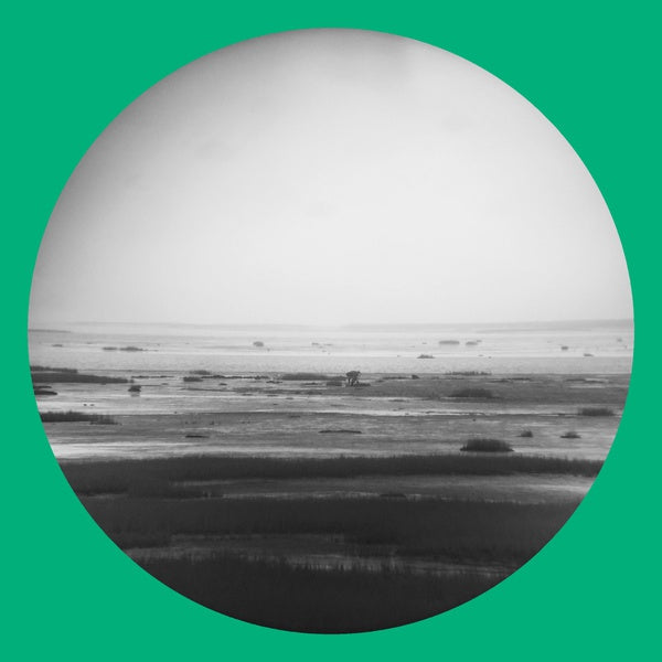 CHIK WHITE - Guts Magnet Sea [CD] (ONLINE ORDER ONLY)