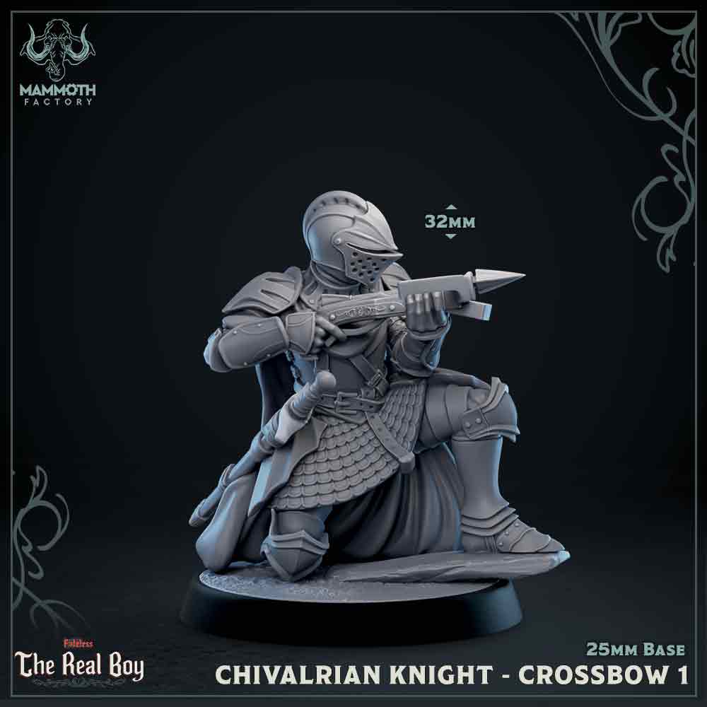Chivalrian Knight with Crossbow 1 (Paladin) (Online Only)