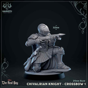 Chivalrian Knight with Crossbow 1 (Paladin) (Online Only)