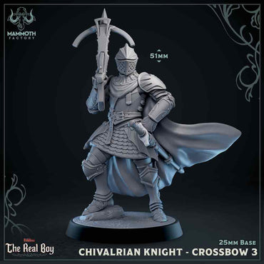 Chivalrian Knight with Crossbow 3 (Paladin) (Online Only)